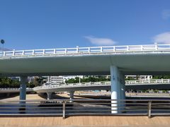 -演武大桥观景平台