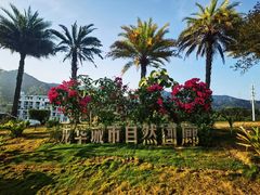 -白石龙音乐公园