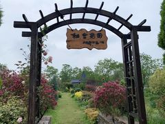 -杭州湾海上花田景区