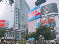 -涩谷区