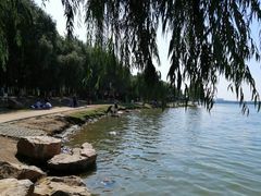 -丁香湖公园