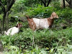 -樱桃山旅游景区