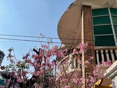 -仁信双皮奶(庙前直街店)