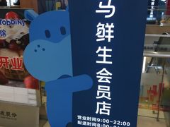 -盒马鲜生(大成店)