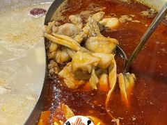 -麻田会 ·鲜活现烹·牛蛙火锅(珠江新城维家思广场店)