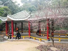 -金鸡山公园