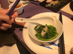 -点都德·毕德寮