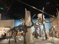 -国家自然博物馆