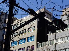 -秋叶原电器街