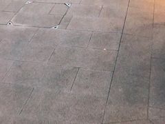 -小杨生煎(宜川路店)
