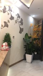 -芳朵美容养生SPA