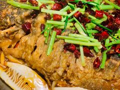 -老板恋上鱼(恒隆广场店)