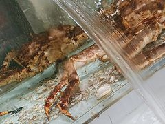 -山海经·海边人家 海鲜新青岛菜(扬州路店)