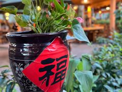 -农厨好味·温泉鹅·农家菜