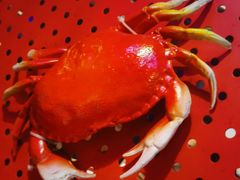 -胖哥俩肉蟹煲(湖滨银泰in77店)