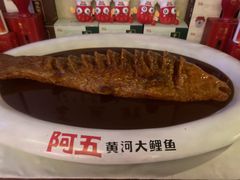红烧黄河大鲤鱼-阿五黄河大鲤鱼(纬三路店)
