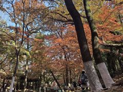 -虞山风景区