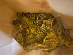 皮皮虾-南沙十九涌渔人码头-南门