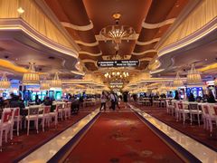 -拉斯维加斯永利酒店