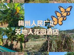 -梅州天地人花园酒店(梅县人民广场店)