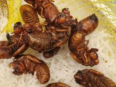 -云腾食府·云南菜