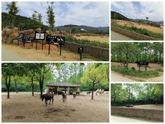 -杭州野生动物世界