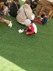 -萌宠亲子动物乐园(槐房万达店)