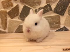 -龙猫仔乐园(惠福东路店)