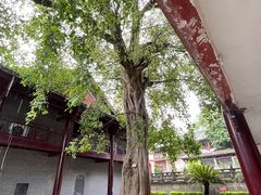 -南华禅寺