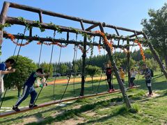 -黄海国家森林公园