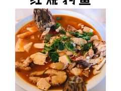 -煲来饱去冷水鱼
