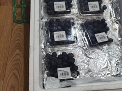 -海鮮寿司とれとれ市場