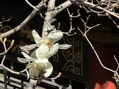 -碑林公园
