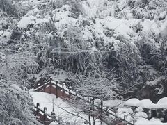 -瓦屋山景区