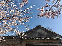-三里河公园
