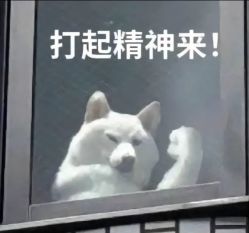 -YASAKI国际舞蹈中心