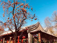 -白家大院·王府宫廷菜(苏州街店)