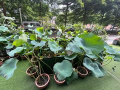 -山水茶艺馆·点心粤菜·30年老字号