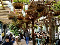 -The Grounds of Alexandria