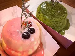 -狐狸和向日葵(北京路店)
