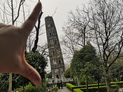 -上海佘山国家森林公园天马山园