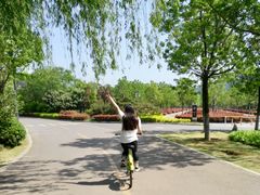 景点-云龙湖旅游景区