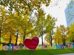 -重庆市江北嘴中央商务区中央公园