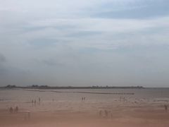 -北海金海湾红树林生态旅游区