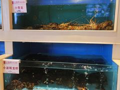 水产区-富黎华海鲜大酒楼(正大广场店)