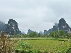 -明仕田园