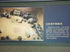 -贝林大翅鲸简餐厅(国家海洋博物馆店)