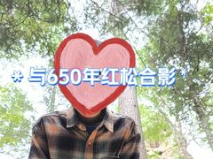 -汤旺河林海奇石景区