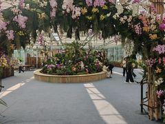 -上海鲜花港