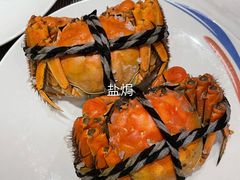 -张江海科雅乐轩聚聚乐